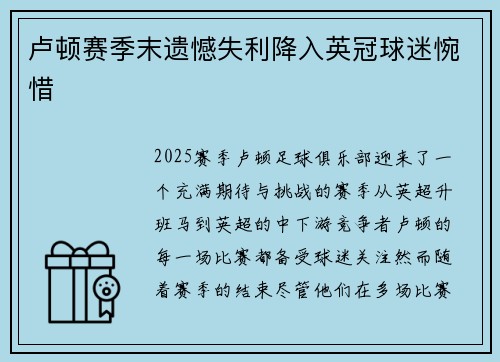 卢顿赛季末遗憾失利降入英冠球迷惋惜 卢顿赛季末遗憾失利降入英冠球迷惋惜